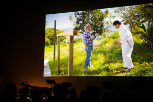 Cindy Bernard, The Inquisitive Musician, Stedelijk Museum