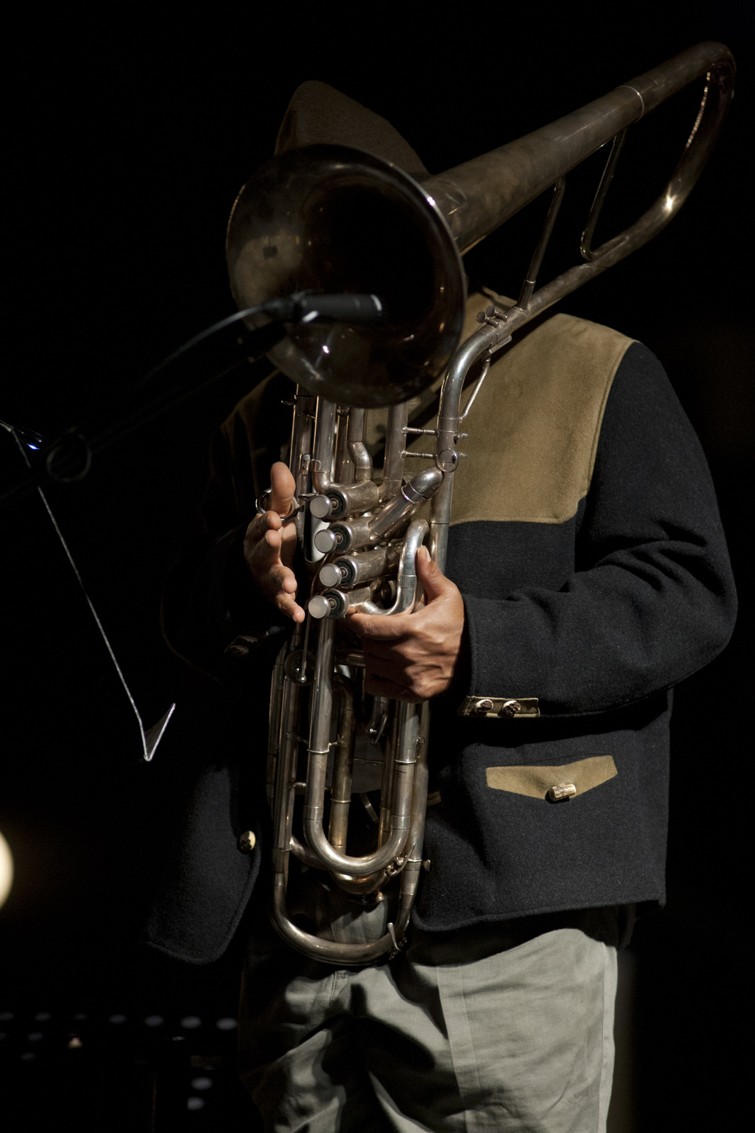 Cindy Bernard, The Inquisitive Musician, Los Angeles County Museum of Art, May 7, 2011