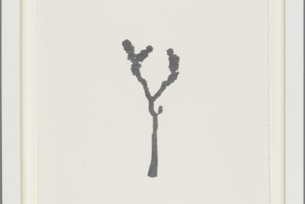 CIndy Bernard, Joshua Tree #33 (Gray), 1994