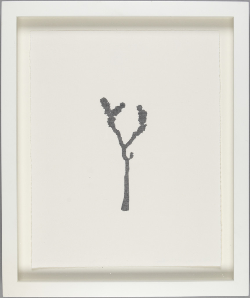 CIndy Bernard, Joshua Tree #33 (Gray), 1994