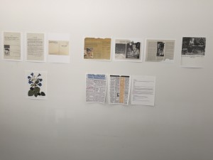 Nudism / Desert / Utopia Research