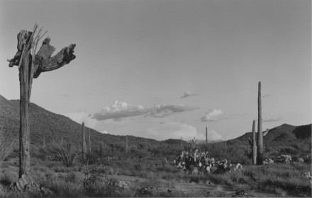 Cindy Bernard, Ask the Dust: 3:10 to Yuma (1957/1991)