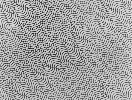 Cindy Bernard, Security Envelope: Museum of Modern Art, 1987
