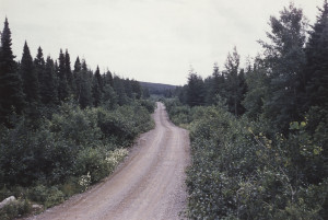 Cindy Bernard, The Grandfather Photos, Ask the Dust Trilogy, Portfolio of 20 images_1989