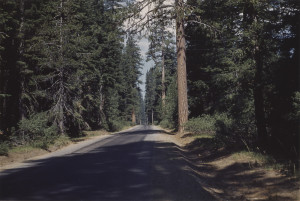 Cindy Bernard, The Grandfather Photos, Ask the Dust Trilogy, Portfolio of 20 images_1989