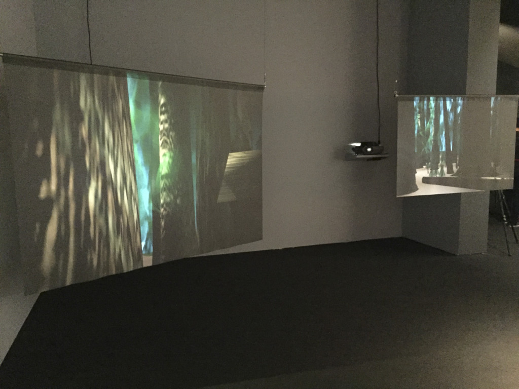 Location Proposal #2, Installation view, Walkers, Museum of the Moving Image, November 2015, 35mm slide projection, filmscreen 200