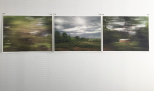 Cindy Bernard, Manassas to Culpeper Portfolio, 98 images, 2014, photography