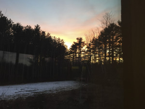 MacDowell Residency, Weeks 3 and 4, March 2016