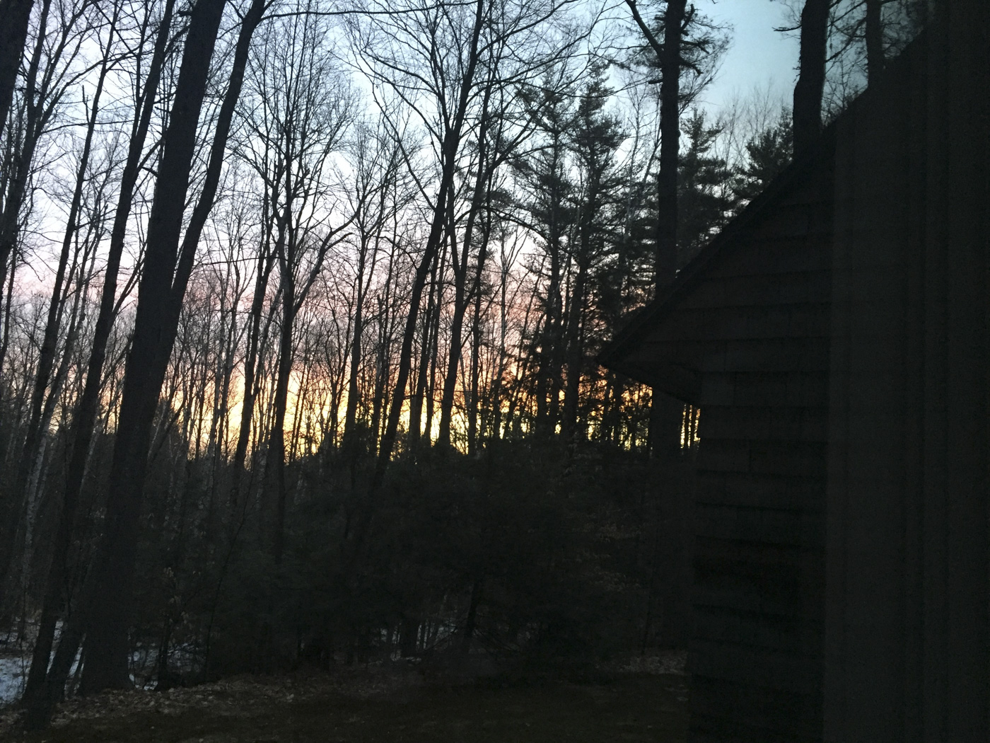 MacDowell Residency, Weeks 3 and 4, March 2016