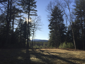 MacDowell Residency, Weeks 3 and 4, March 2016