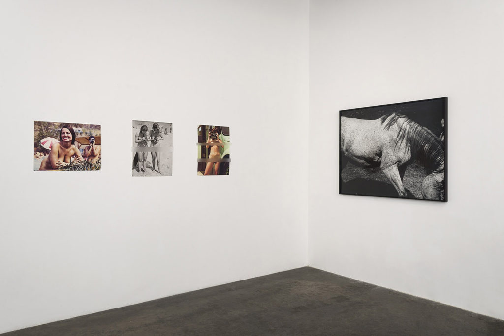 Install view (censored), In the Cut, Gallery Luisotti, August 2016 (Left: Cindy Bernard, Right Whitney Hubbs)